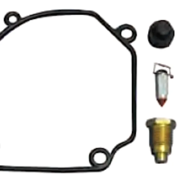 Servicesats förgasare