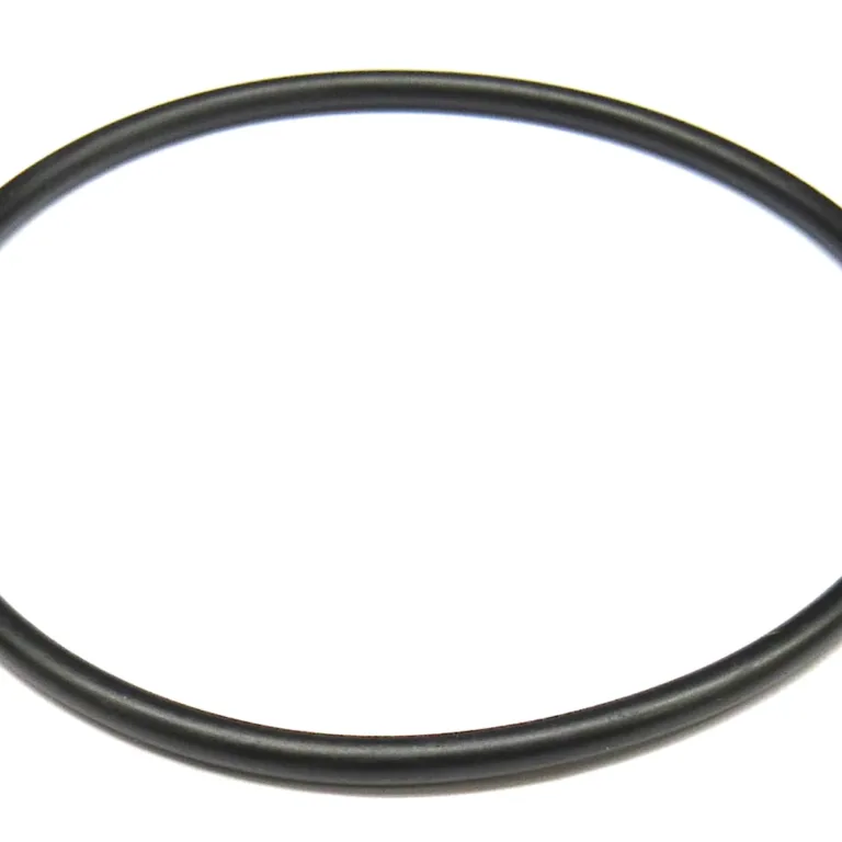 O-ring