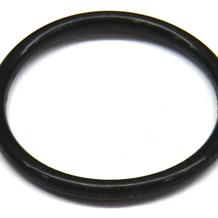 O-ring