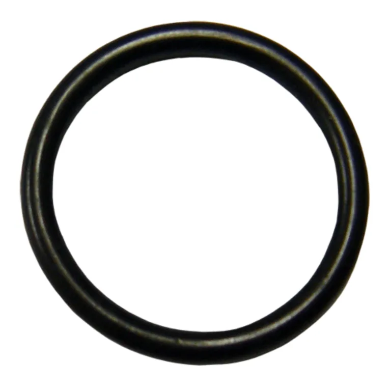 O-ring