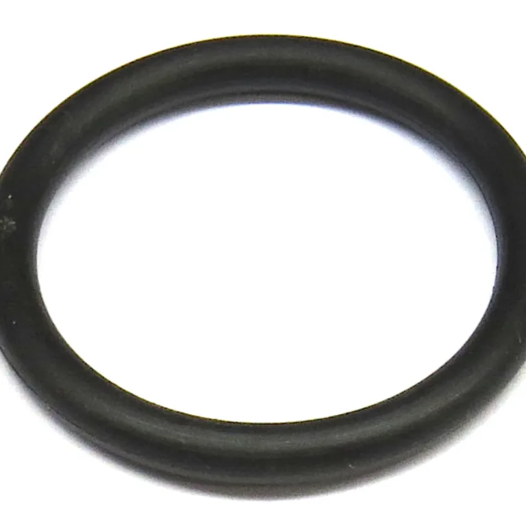 O-ring