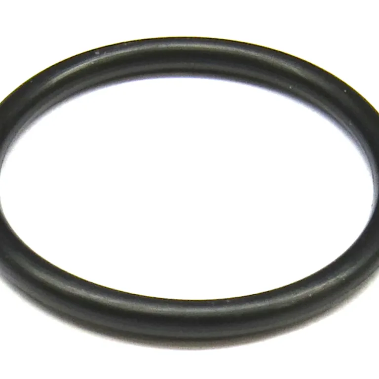O-ring