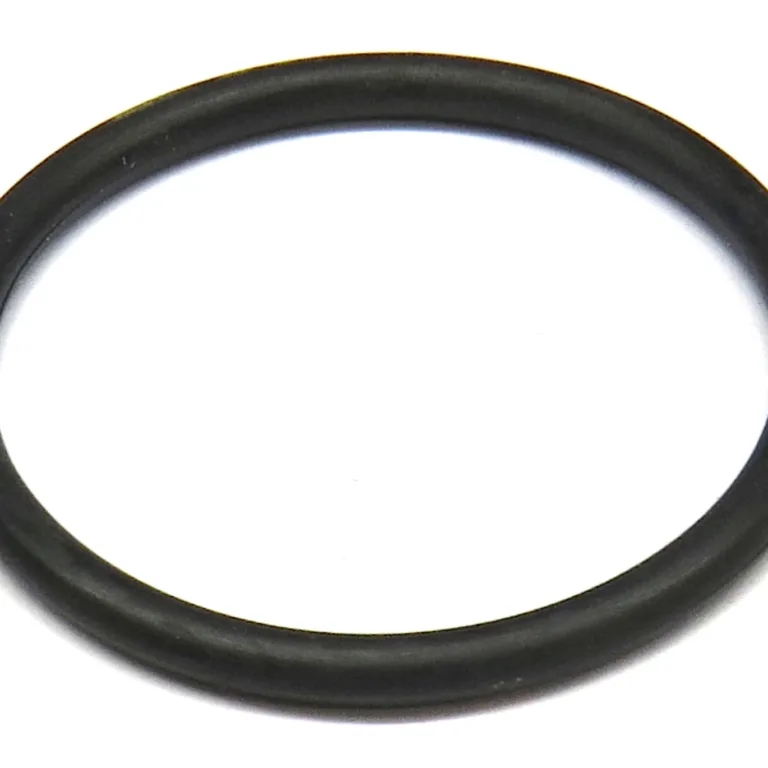 O-ring