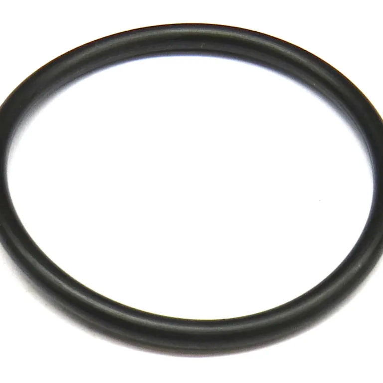 O-ring