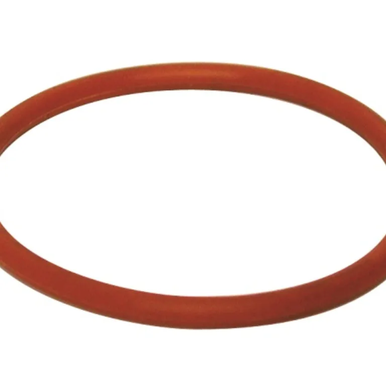 O-ring