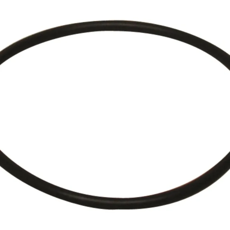 O-Ring