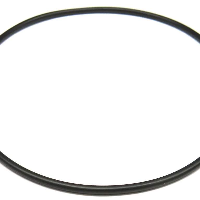 O-ring