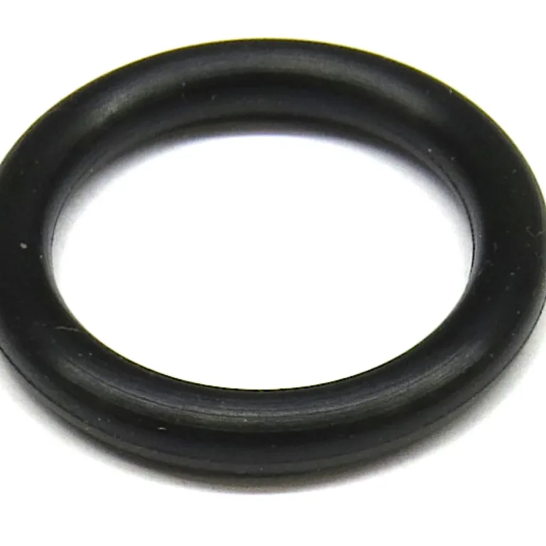 O-ring
