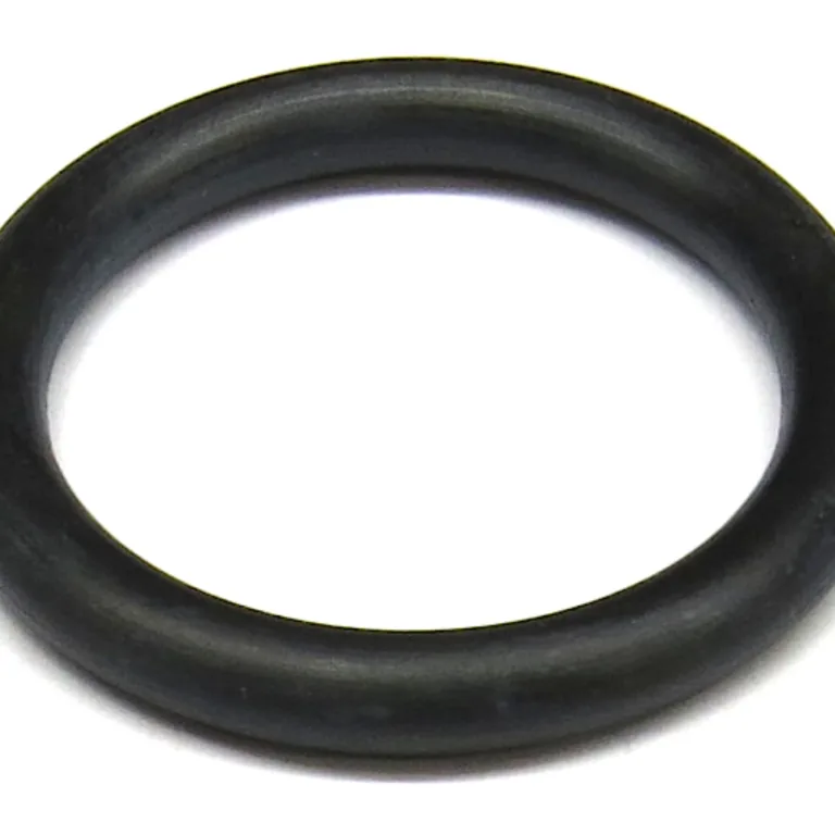O-ring