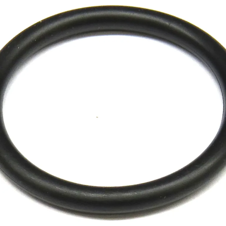 O-ring
