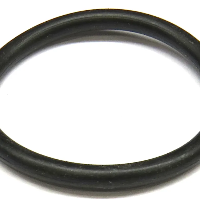 O-ring