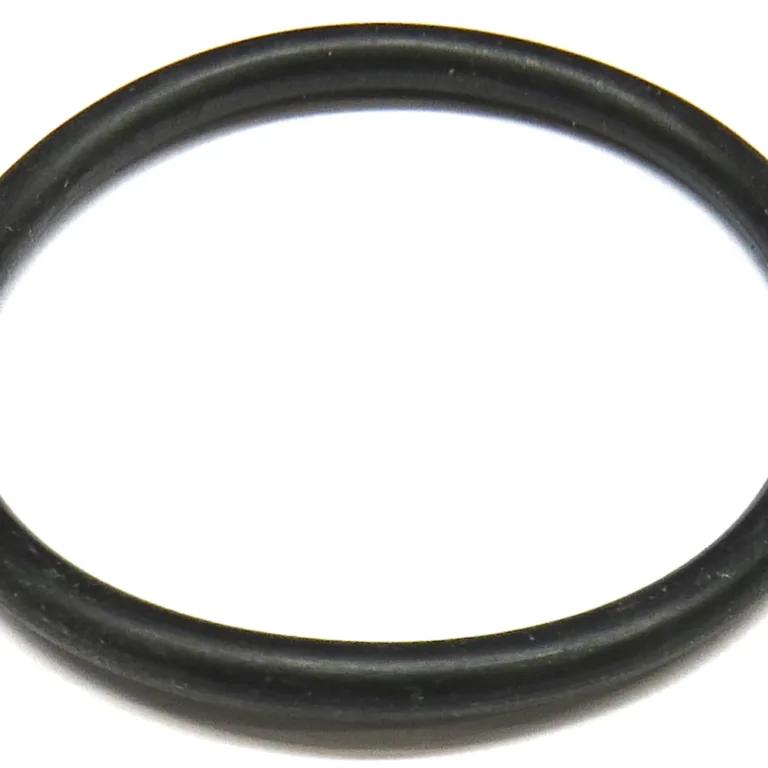 O-ring