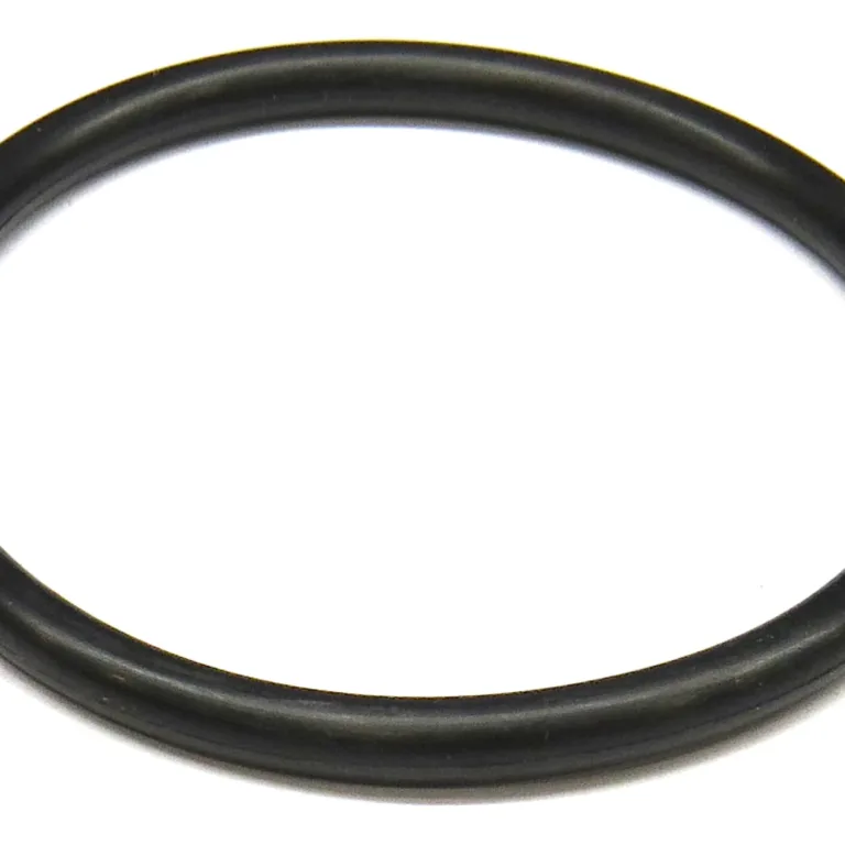 O-ring