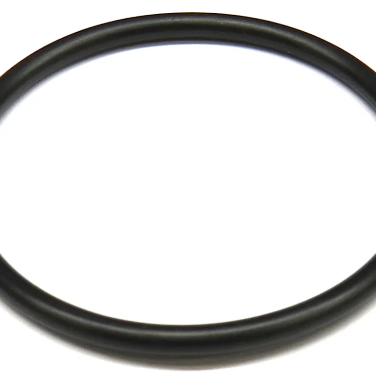 O-ring