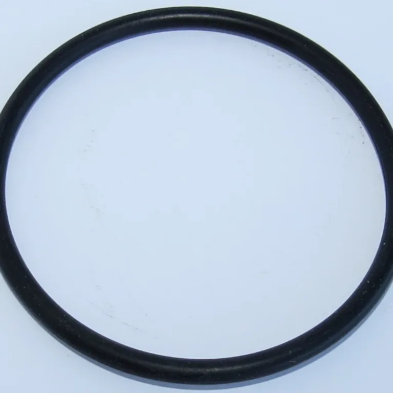 O-ring