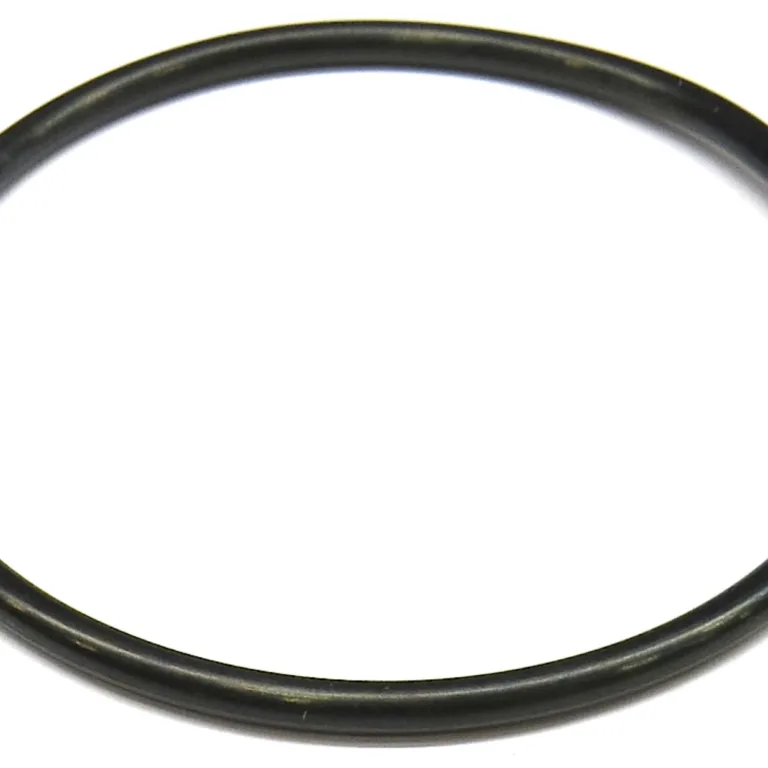 O-ring