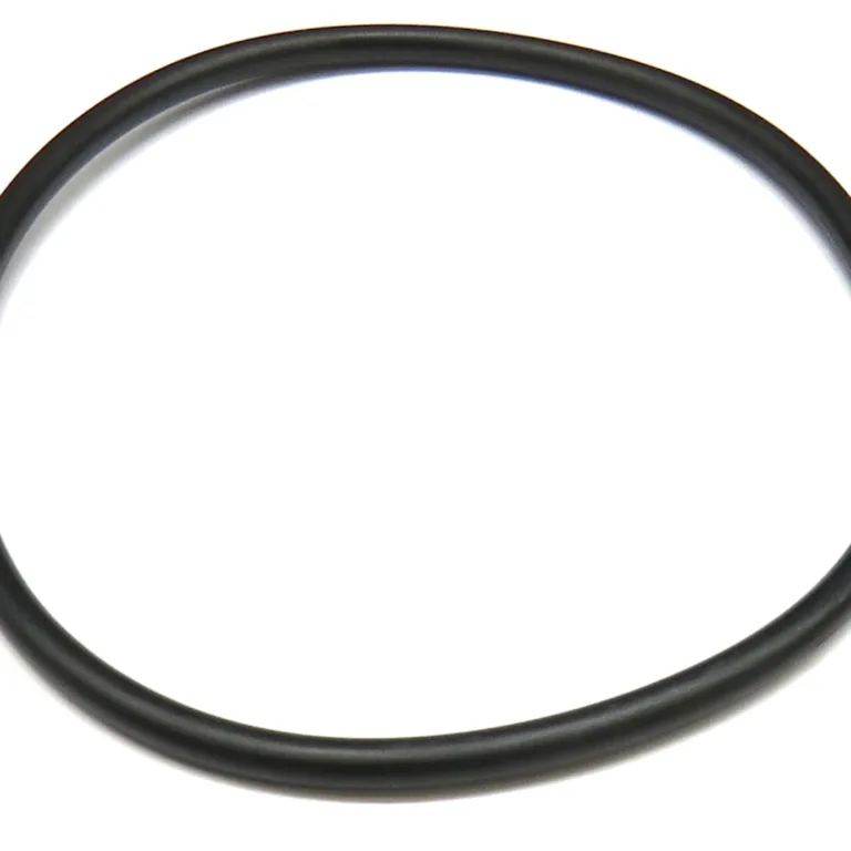 O-ring