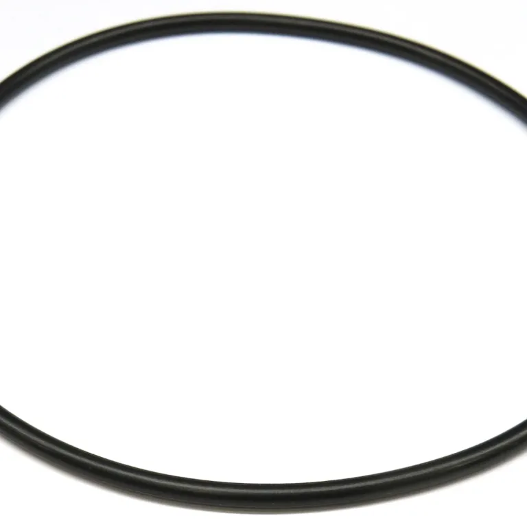 O-ring
