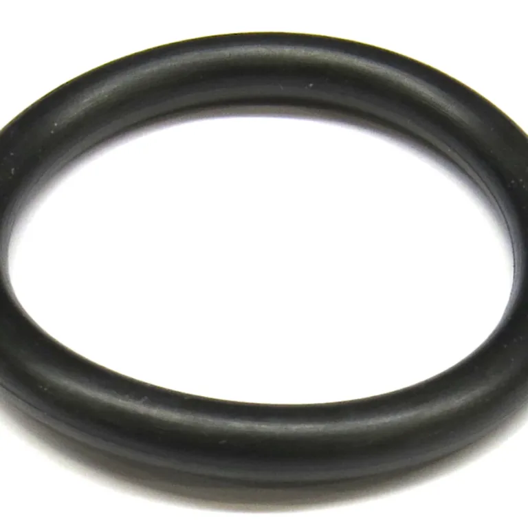 O-ring