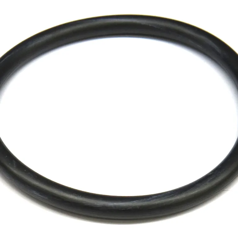 O-ring