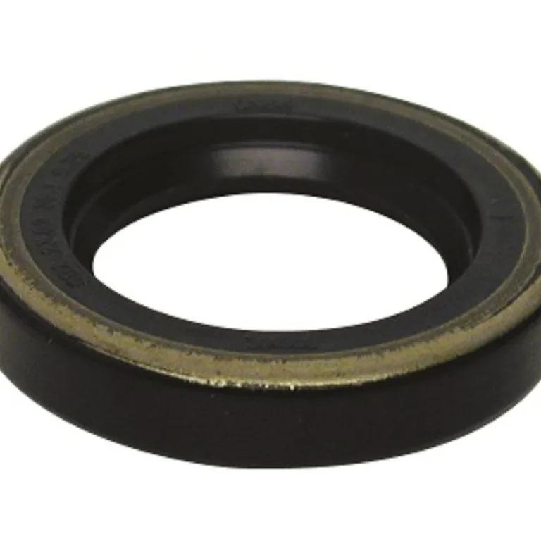 OIL SEAL