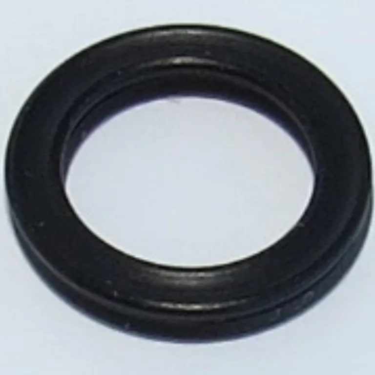 O-ring