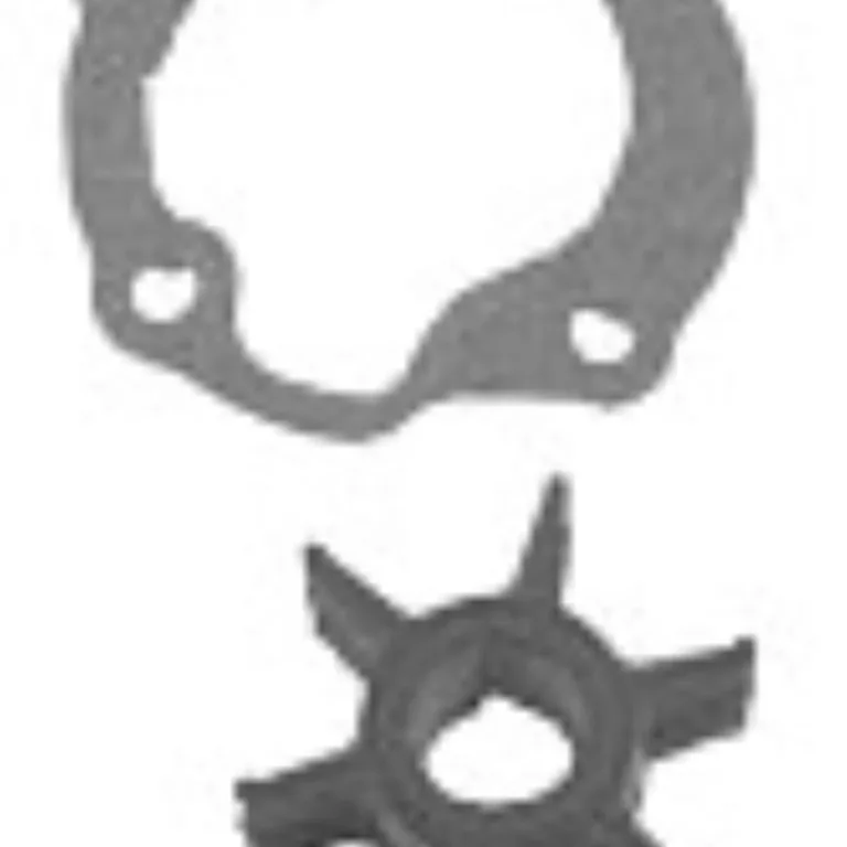 Impeller Evinrude/Johnson 25 HP (old model)